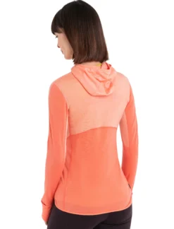 Merino Blend 200 Realfleece™ Descender Hoodie Damen
